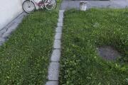 IMG_8604.jpeg