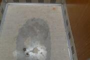 20260106_181355.jpg