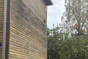 IMG_1563.jpeg