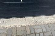 IMG_7967.jpeg