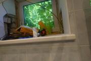 20260729_090535.JPG