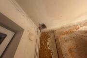 IMG_9121.jpeg