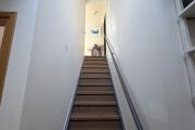 IMG_7717.jpeg