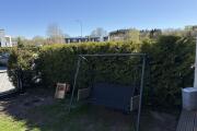 IMG_7302.jpeg