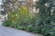 IMG_5772.JPG