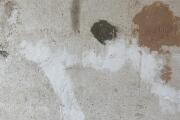 IMG_0977.jpeg