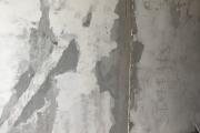 IMG_2243.jpeg
