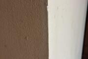 IMG_2362.jpeg
