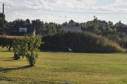 20220813_181934.jpg