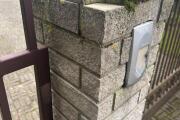 IMG_3238.jpeg
