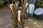 IMG_7502 2.jpeg
