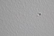20260703_181508.jpg