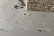 IMG_3708.jpeg