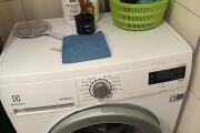 IMG_0244.jpeg