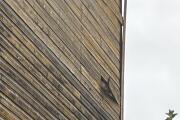 IMG_1562.jpeg