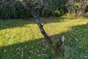 IMG20261021142949.jpg
