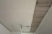 IMG_3752.jpeg