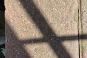 20260731_145138.jpg