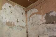 IMG_4954.jpeg