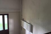 IMG_1117.jpeg
