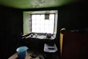 IMG_20260506_164138.jpg