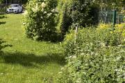 IMG_6231.jpeg