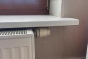 IMG_8857.jpeg