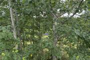 IMG_1690.jpeg