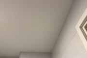 IMG_7223.jpg