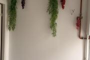 IMG_4330.jpeg