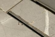 IMG_7213.jpeg