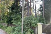 IMG_5770.JPG