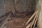 IMG_3648.jpeg