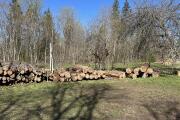 IMG_3209.jpeg