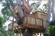 treehouse7_wooden_malibu.jpg