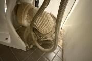 IMG_9987.jpeg