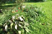1peenar_2026-08-10_10-01-09.jpg