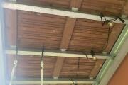 IMG_3715.jpeg