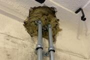 IMG_9512.jpeg