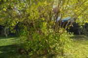 IMG20261021142840.jpg