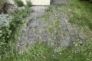 IMG_4294.HEIC