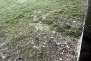IMG_7012.jpeg