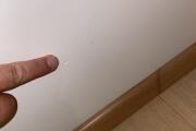 IMG_6255.JPG