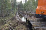 Kuivenduskraav.jpg