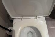 IMG_0242.jpeg
