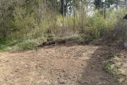IMG_2726.JPEG