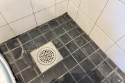 IMG_3046.jpeg