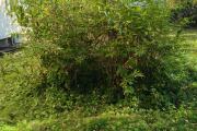 IMG20261021142821.jpg