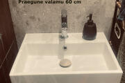 IMG_7167.jpeg