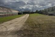 IMG_2290.jpeg